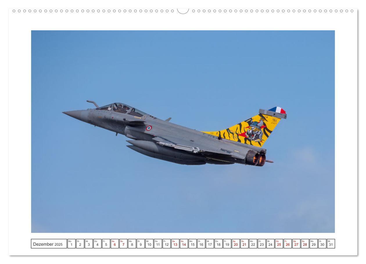 Bild: 9783457154298 | Tiger Meet Schleswig (hochwertiger Premium Wandkalender 2025 DIN A2...