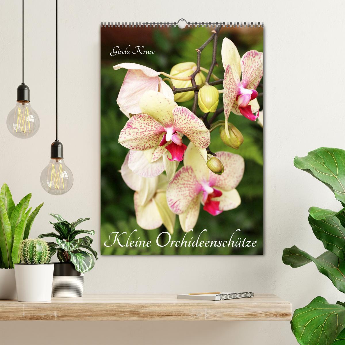 Bild: 9783435942480 | Kleine Orchideenschätze (Wandkalender 2025 DIN A2 hoch), CALVENDO...