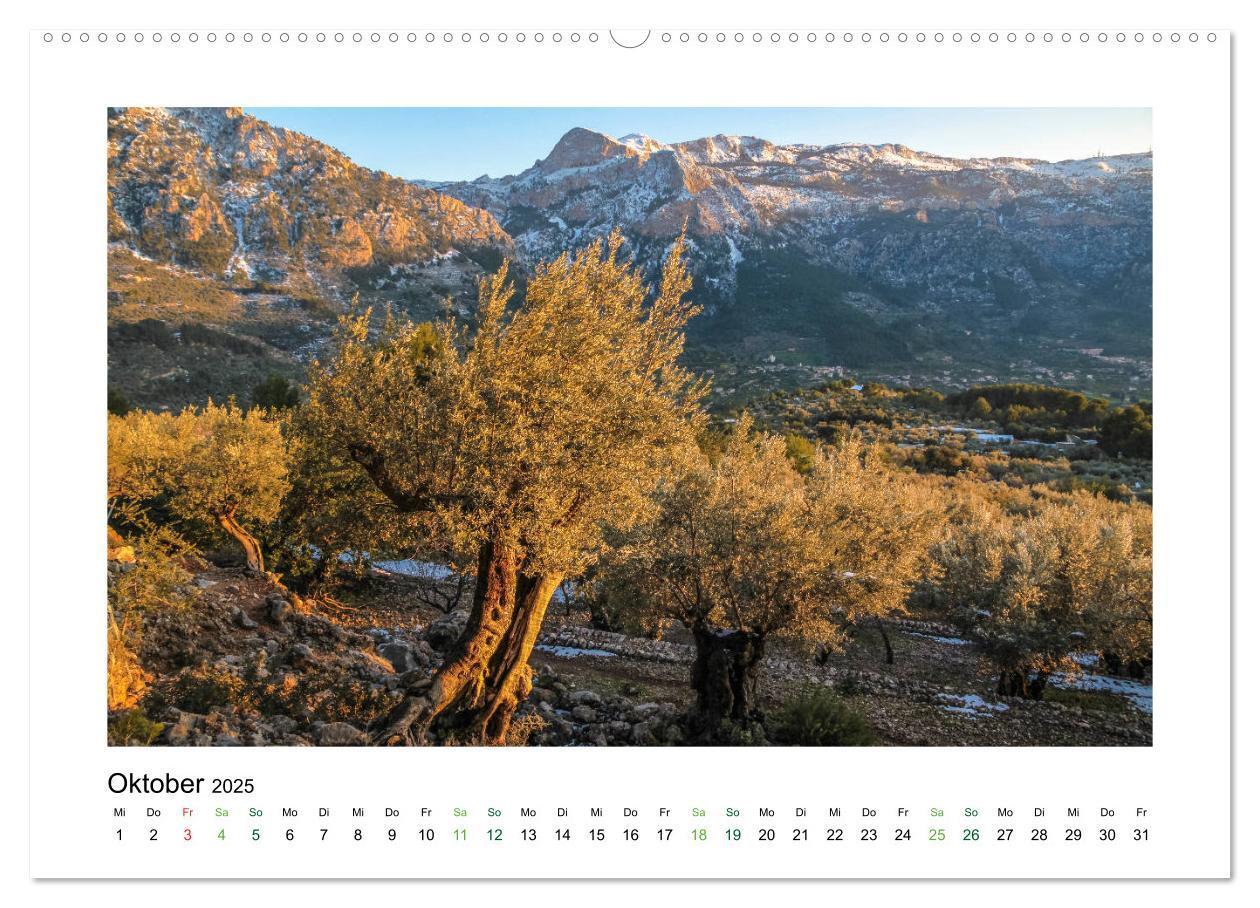 Bild: 9783435452828 | Sehnsucht nach Mallorca (Wandkalender 2025 DIN A2 quer), CALVENDO...