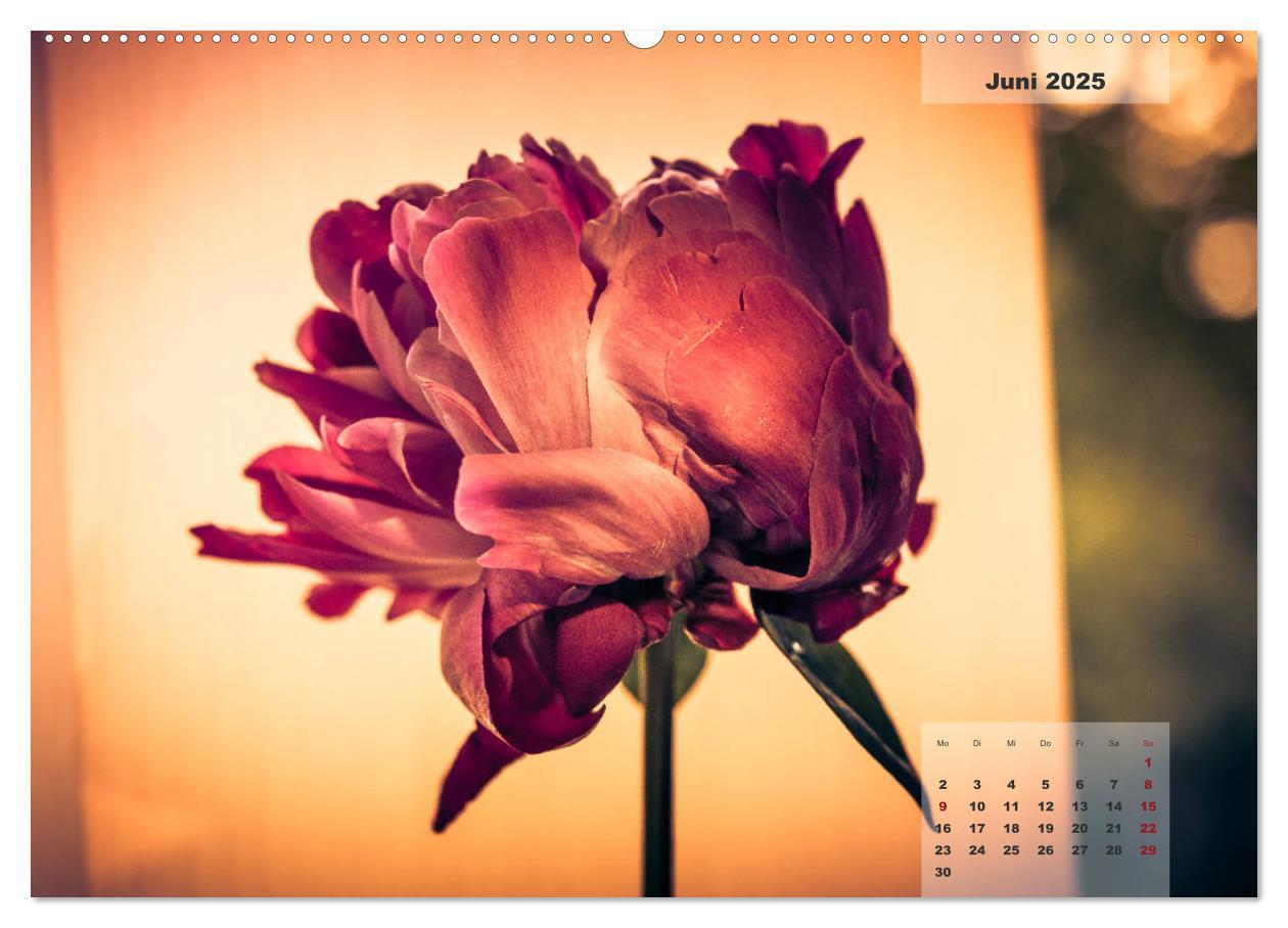 Bild: 9783435304523 | Blüten im Retro-Style (Wandkalender 2025 DIN A2 quer), CALVENDO...