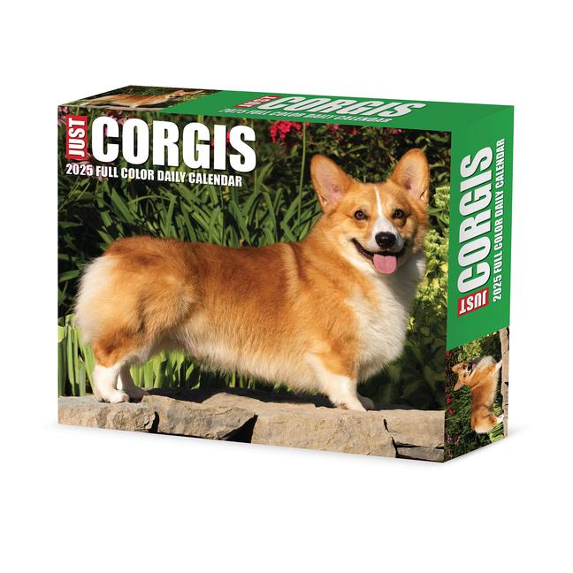 Cover: 9781549240751 | Corgis 2025 6.2 X 5.4 Box Calendar | Willow Creek Press | Kalender