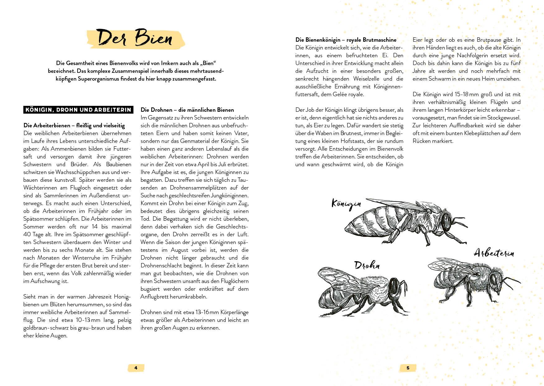 Bild: 9783745912449 | Mein Bienenjahr | Pia Schrade | Taschenbuch | 112 S. | Deutsch | 2022