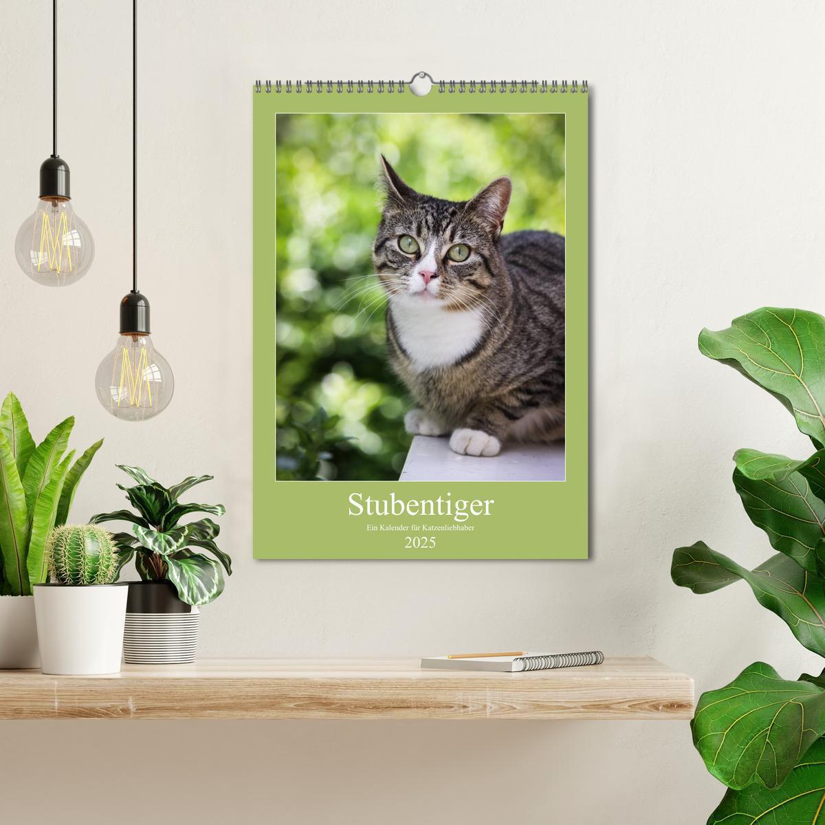 Bild: 9783457069769 | Stubentiger (Wandkalender 2025 DIN A3 hoch), CALVENDO Monatskalender