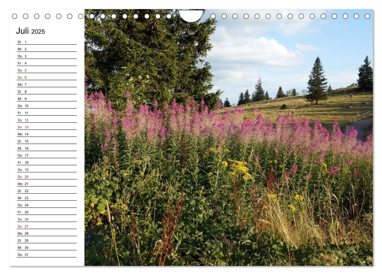 Bild: 9783435525058 | Südschwarzwald - Impressionen (Wandkalender 2025 DIN A4 quer),...