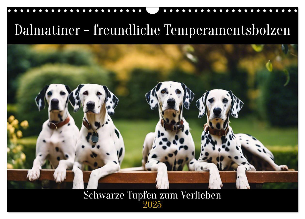 Cover: 9783383829543 | Dalmatiner - freundliche Temperamentsbolzen (Wandkalender 2025 DIN...