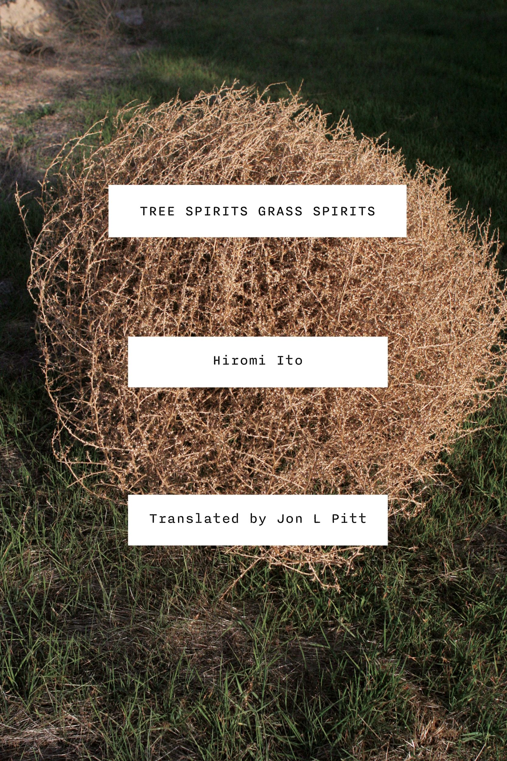 Cover: 9781643621920 | Tree Spirits Grass Spirits | Hiromi Ito | Taschenbuch | Englisch