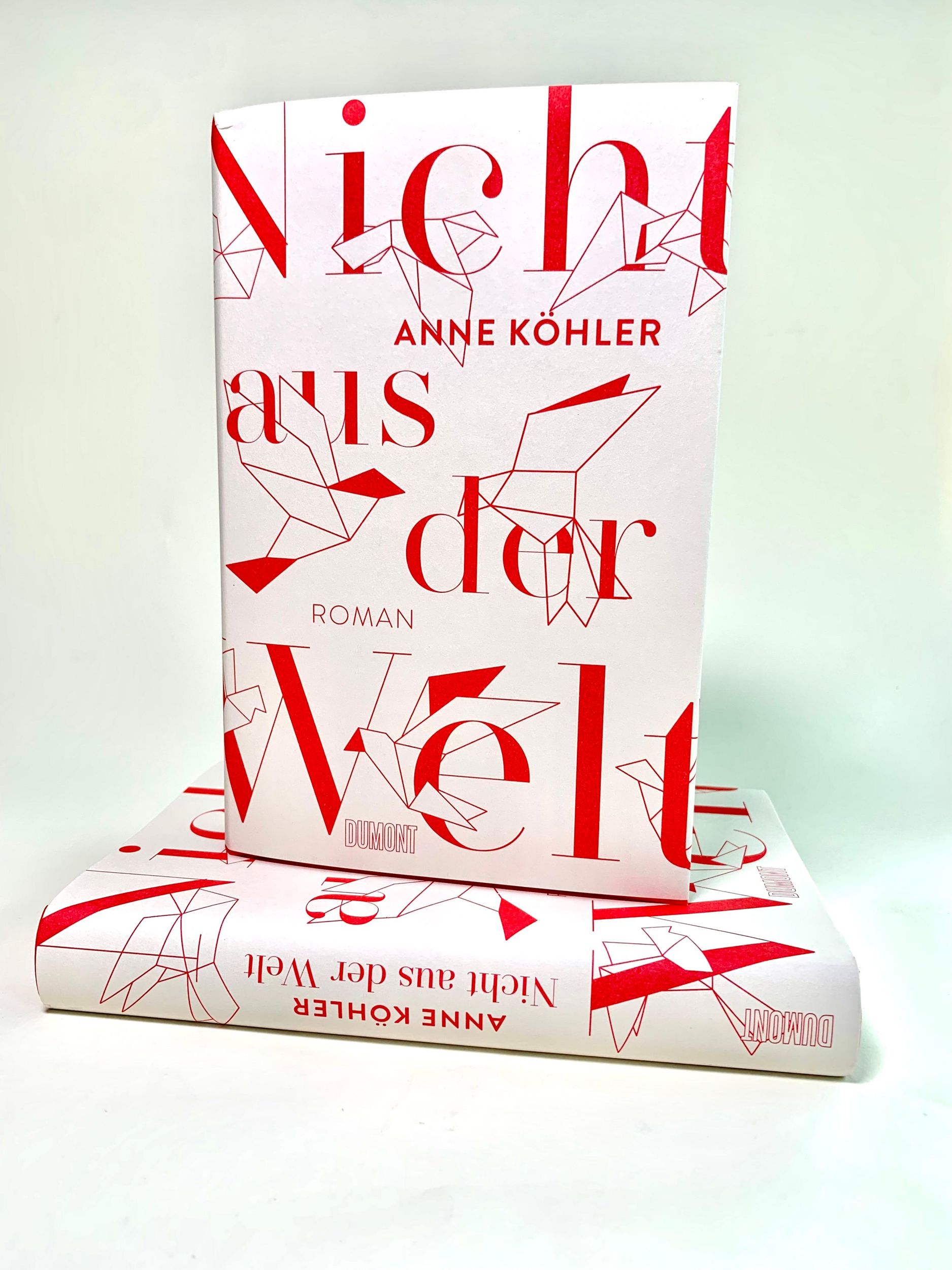 Bild: 9783832180041 | Nicht aus der Welt | Roman | Anne Köhler | Buch | 346 S. | Deutsch