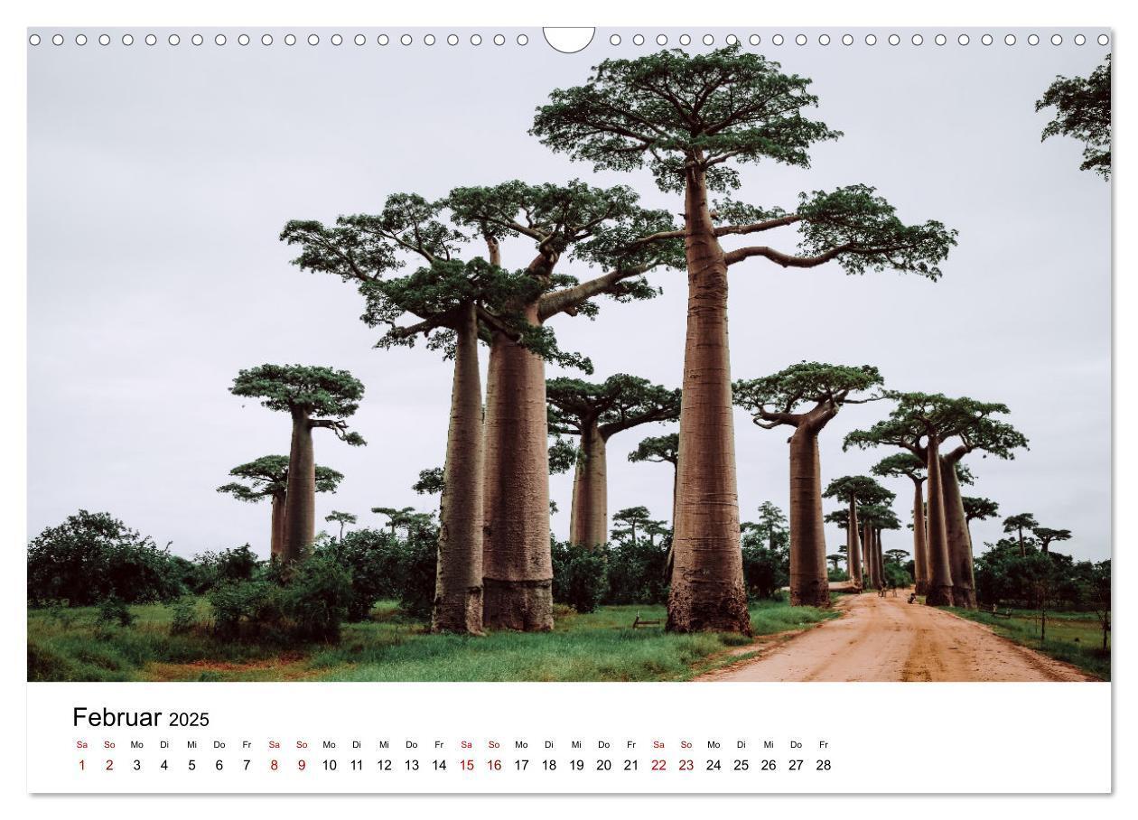 Bild: 9783383998089 | Naturparadies Madagaskar (Wandkalender 2025 DIN A3 quer), CALVENDO...