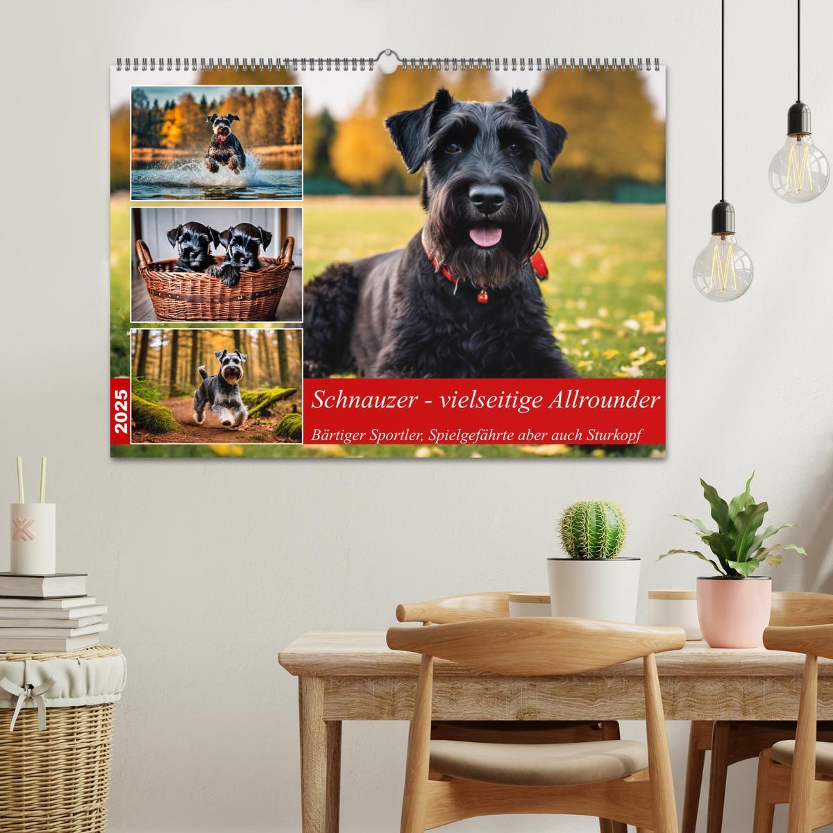 Bild: 9783457037423 | Schnauzer - vielseitige Allrounder (Wandkalender 2025 DIN A2 quer),...