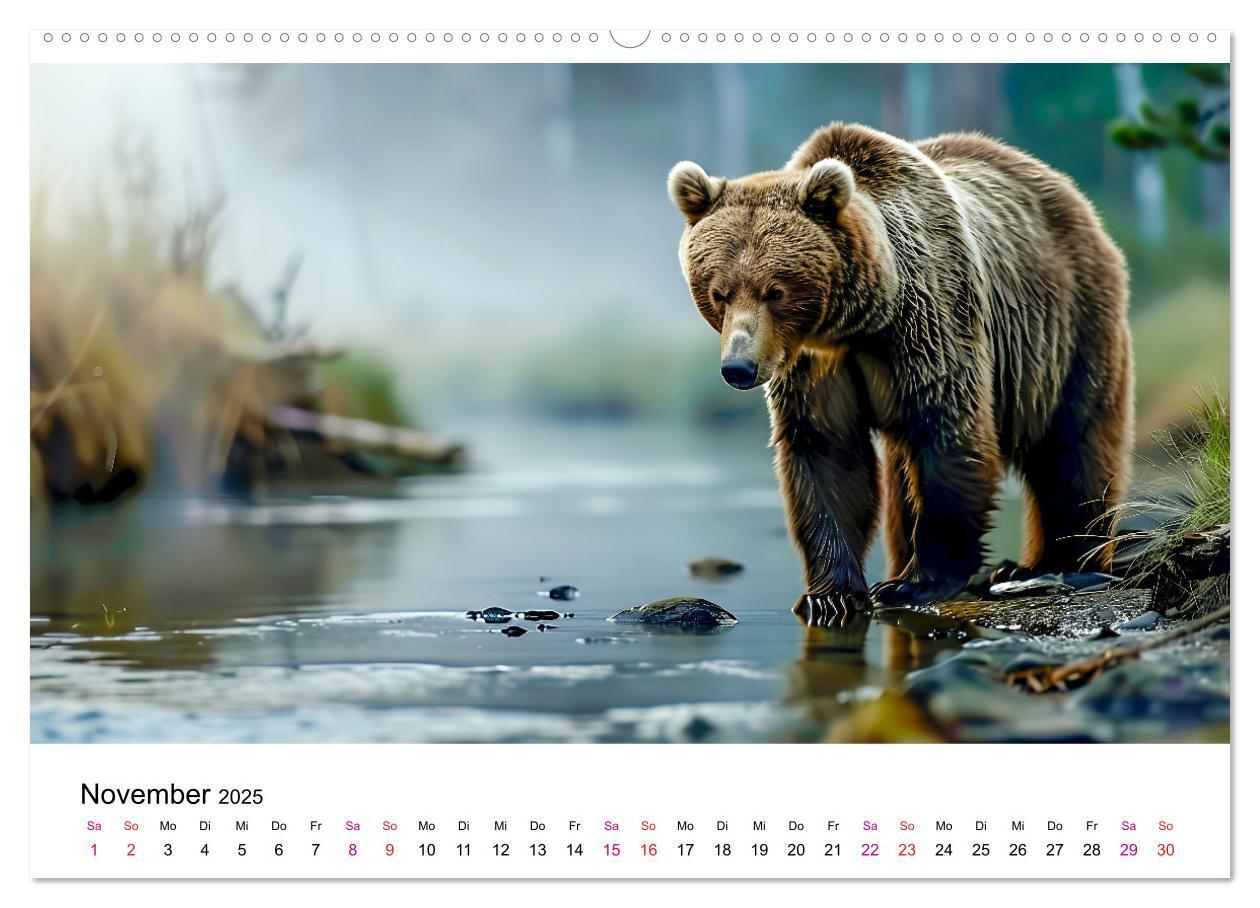 Bild: 9783457170472 | Bären - gefährlich nett (hochwertiger Premium Wandkalender 2025 DIN...