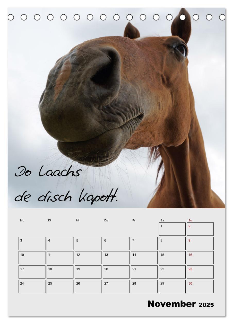 Bild: 9783457087619 | Kölsches Grundgesetz (Tischkalender 2025 DIN A5 hoch), CALVENDO...