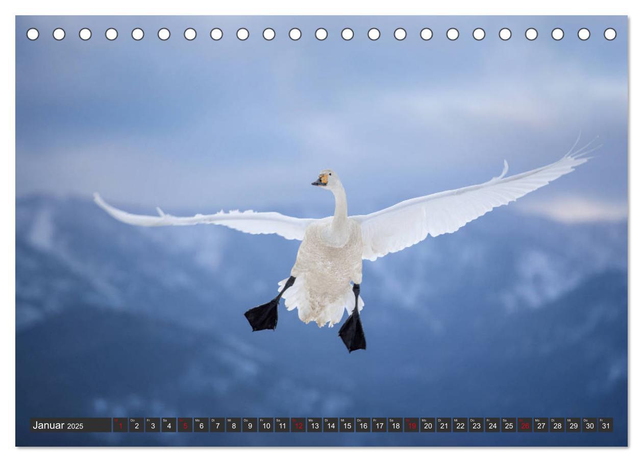 Bild: 9783435292103 | Japanische Vogelwelt im Winter (Tischkalender 2025 DIN A5 quer),...