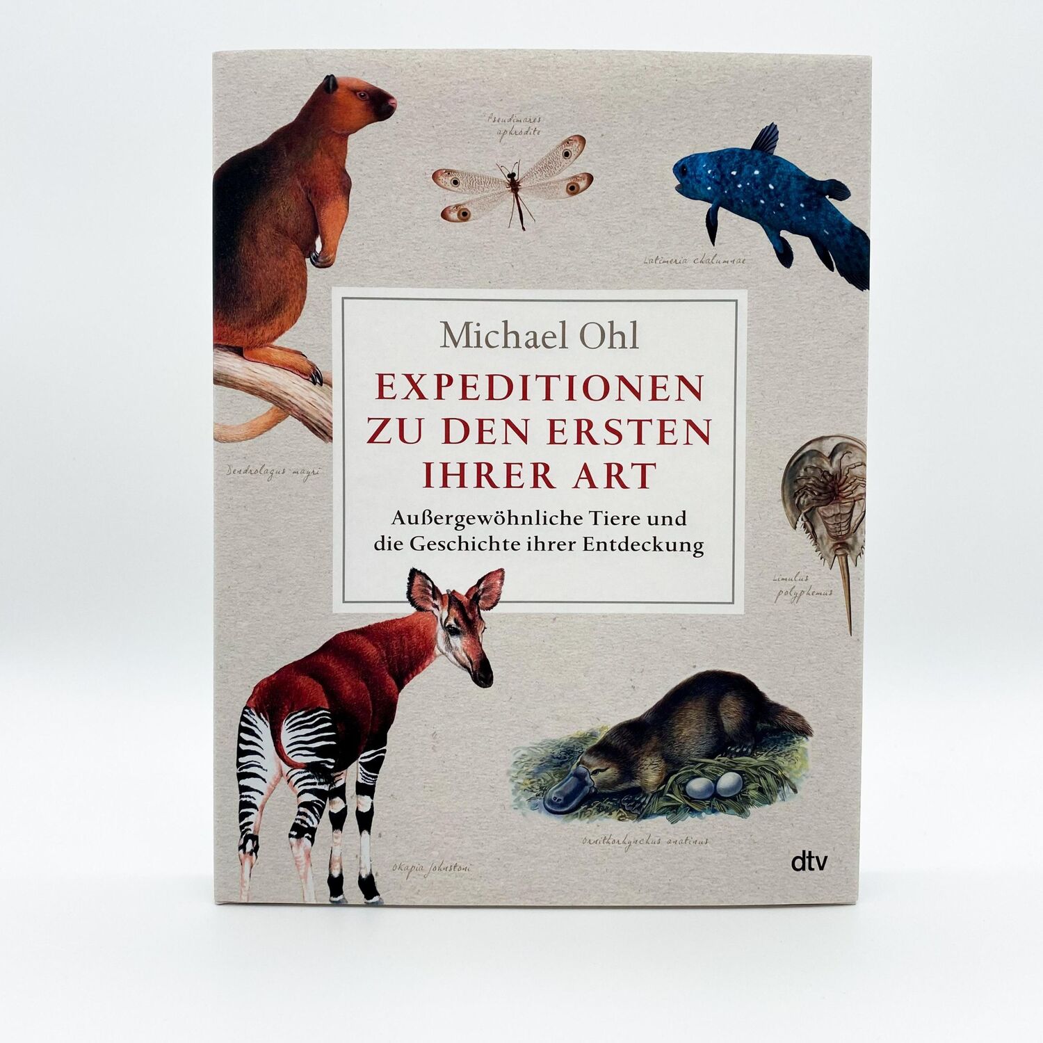 Bild: 9783423290432 | Expeditionen zu den Ersten ihrer Art | Michael Ohl | Buch | 304 S.