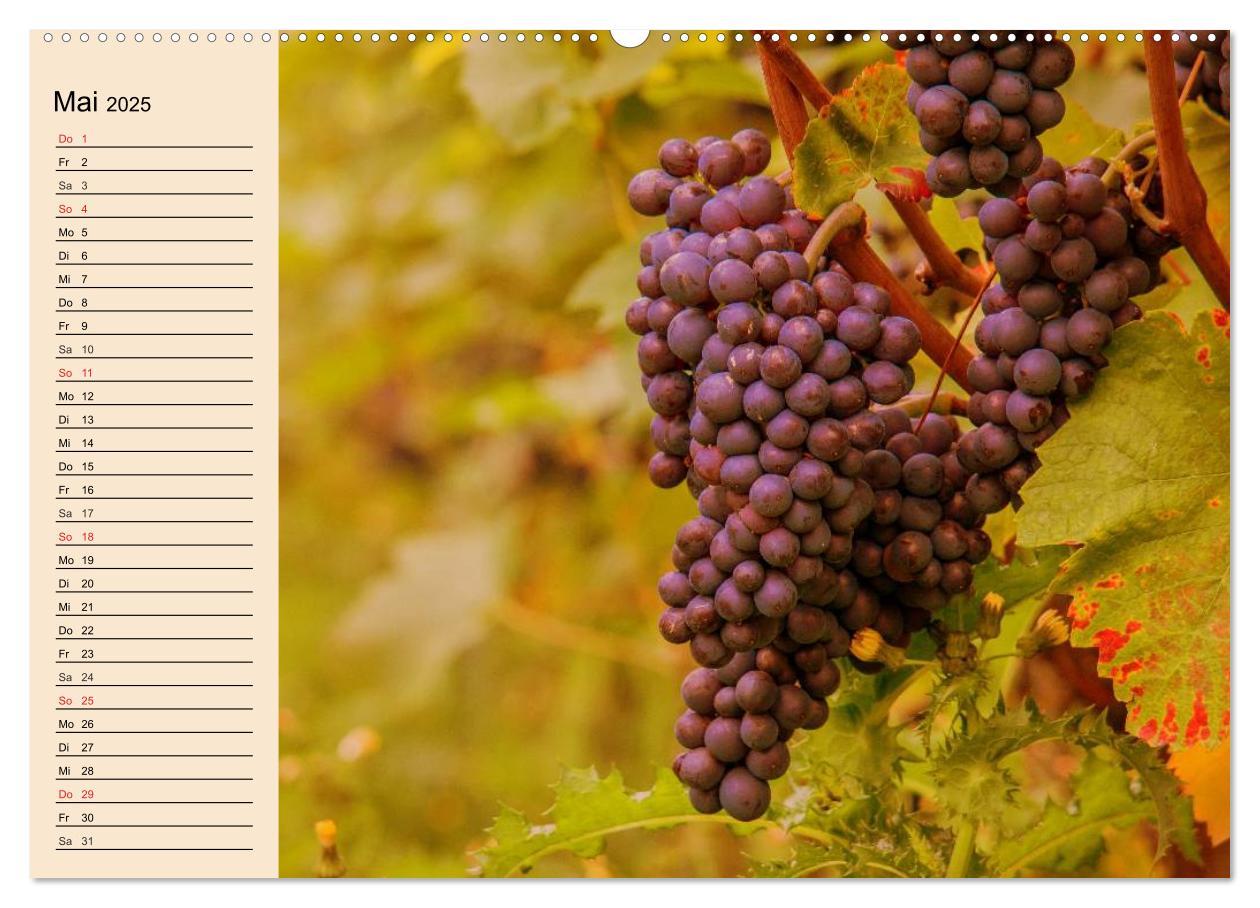 Bild: 9783435513178 | Weinanbau. Von der Traube zum Wein (Wandkalender 2025 DIN A2 quer),...