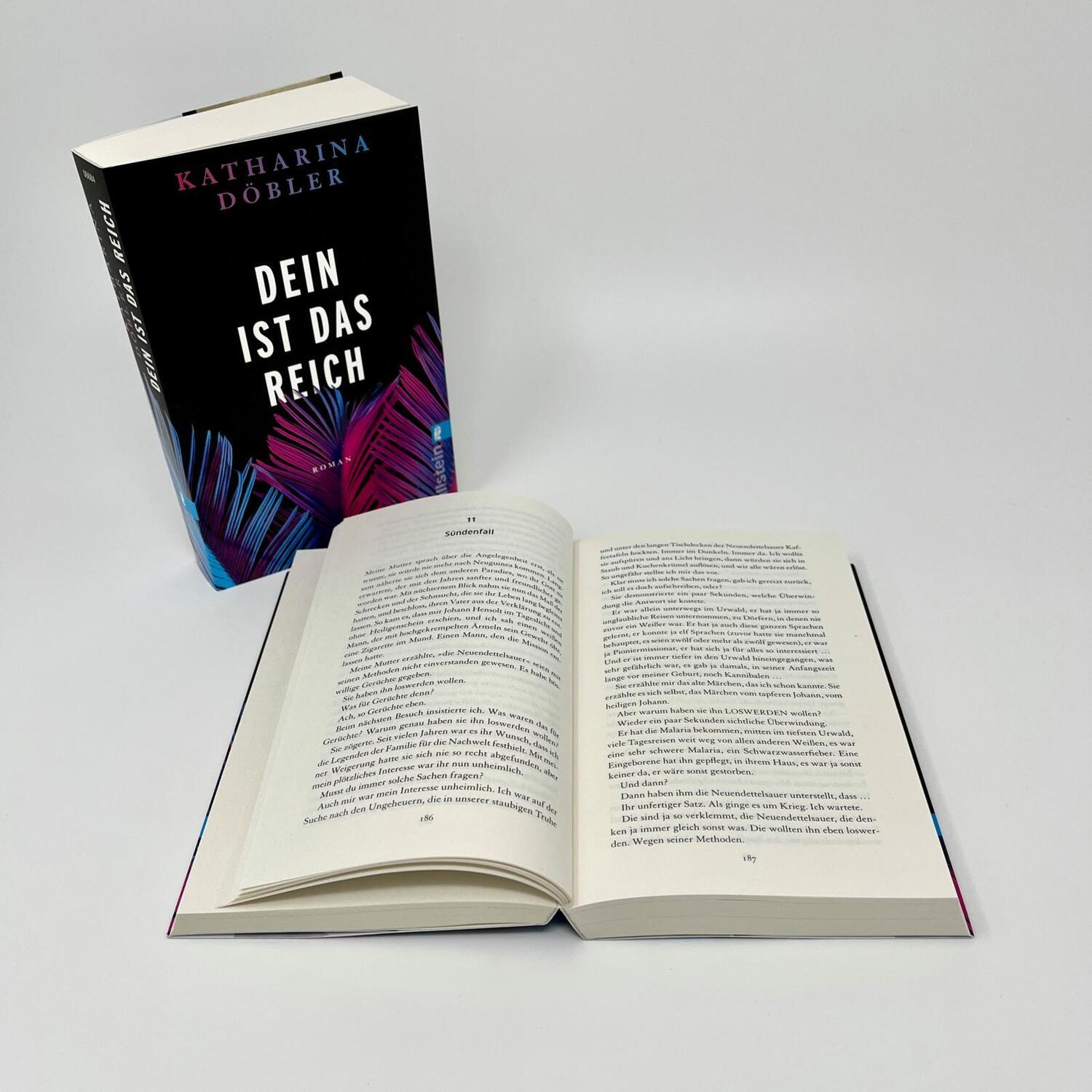 Bild: 9783548066844 | Dein ist das Reich | Katharina Döbler | Taschenbuch | 480 S. | Deutsch