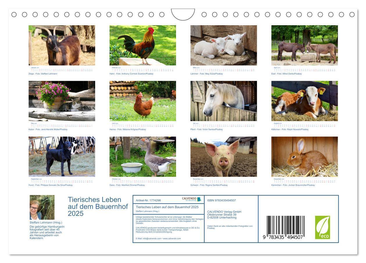 Bild: 9783435494507 | Tierisches Leben auf dem Bauernhof 2025 (Wandkalender 2025 DIN A4...