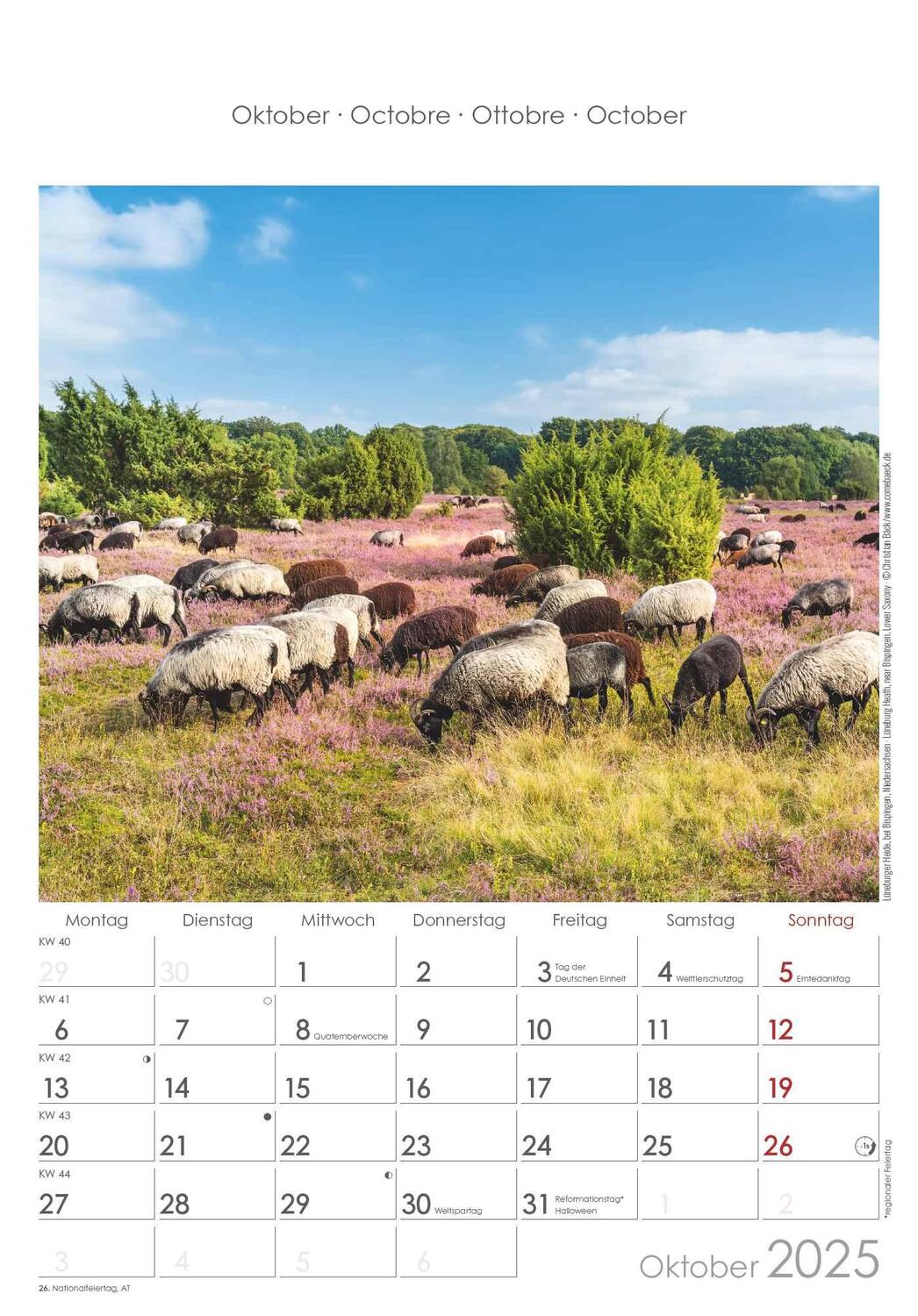 Bild: 4251732341152 | Norddeutschland 2025 - Bild-Kalender 23,7x34 cm - Regional-Kalender...