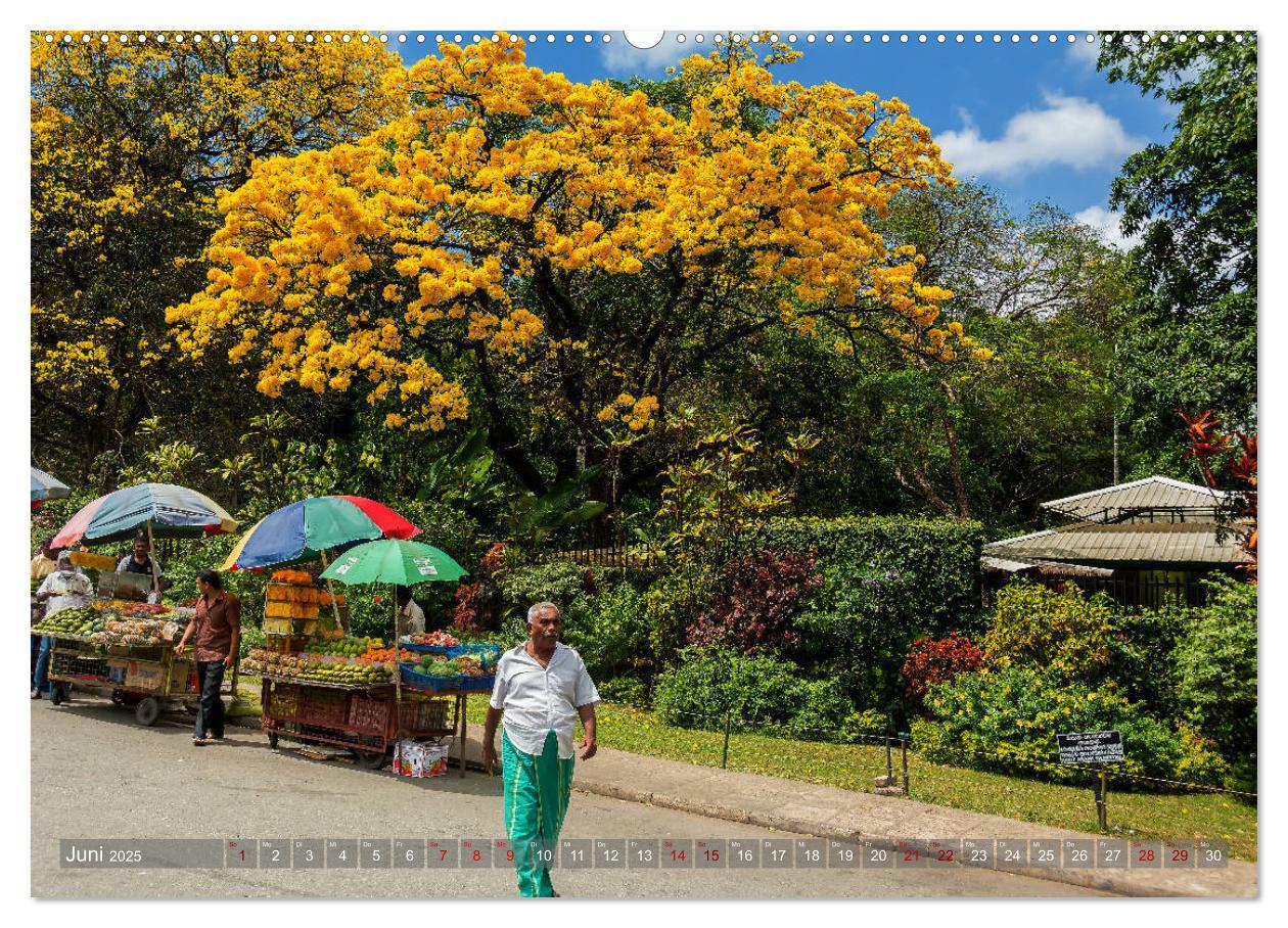 Bild: 9783435360765 | Reise nach Sri Lanka (Wandkalender 2025 DIN A2 quer), CALVENDO...