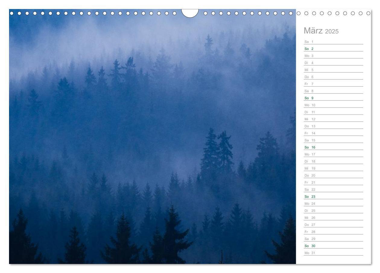 Bild: 9783435542369 | Im Deutschen Wald 2025 - ein Notizkalender (Wandkalender 2025 DIN...