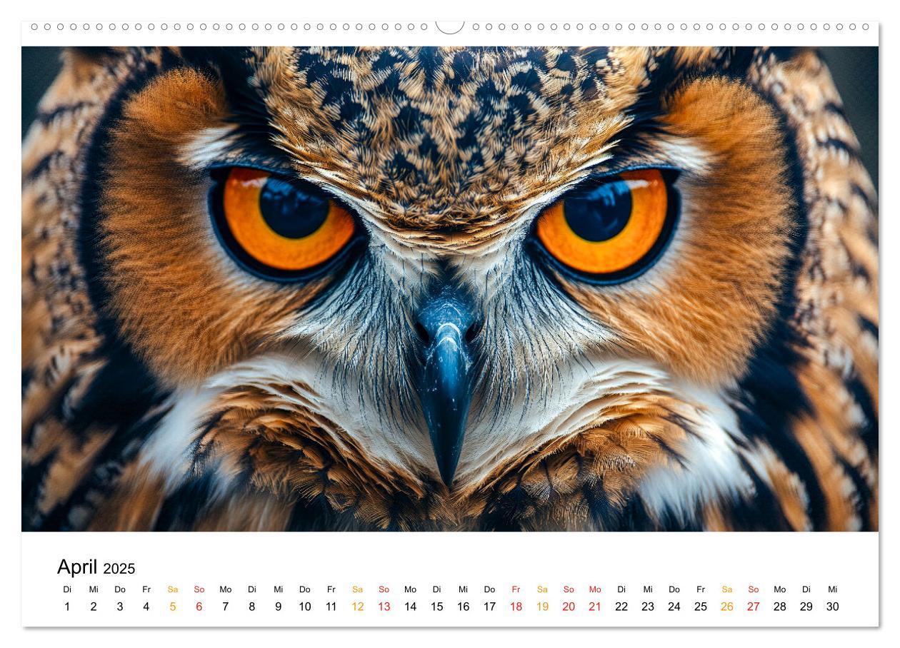 Bild: 9783457232781 | Im Reich der Eulen (hochwertiger Premium Wandkalender 2025 DIN A2...