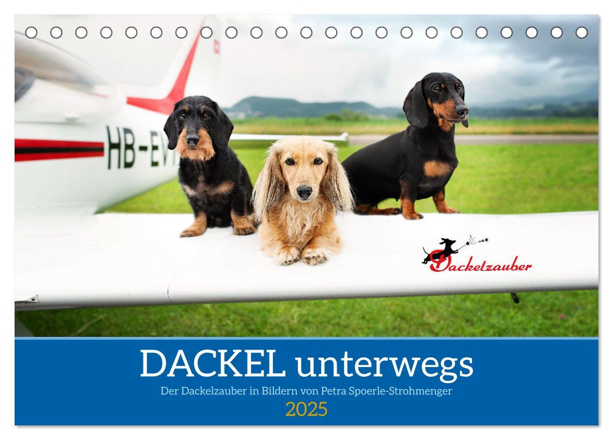 Cover: 9783457206454 | Dackel unterwegs (Tischkalender 2025 DIN A5 quer), CALVENDO...