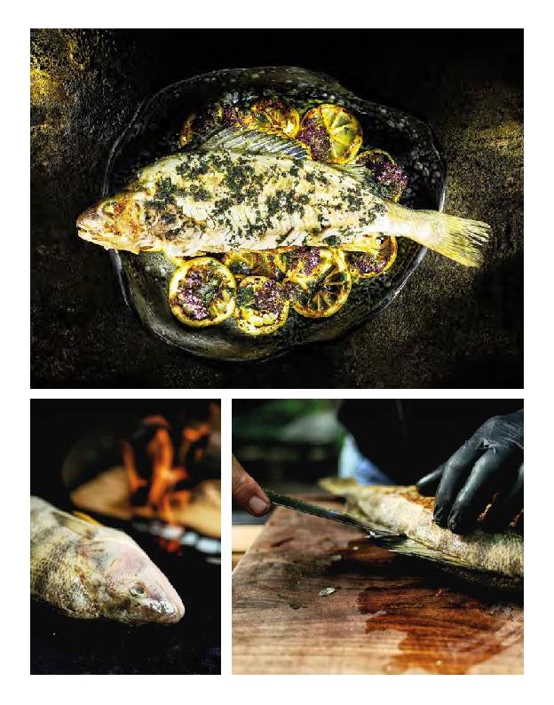 Bild: 9783966643856 | Wild gegrillt | Tom Heinzle | Buch | 176 S. | Deutsch | 2022 | Heel