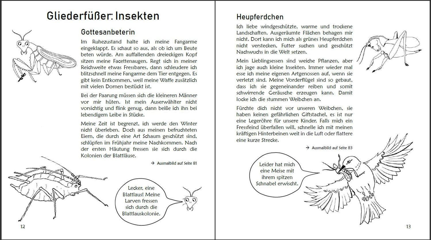 Bild: 9783990820322 | Ausmalspaß + Wissen: Fantatiere - Malbuch ab 6 Jahre. Artenvielfalt...