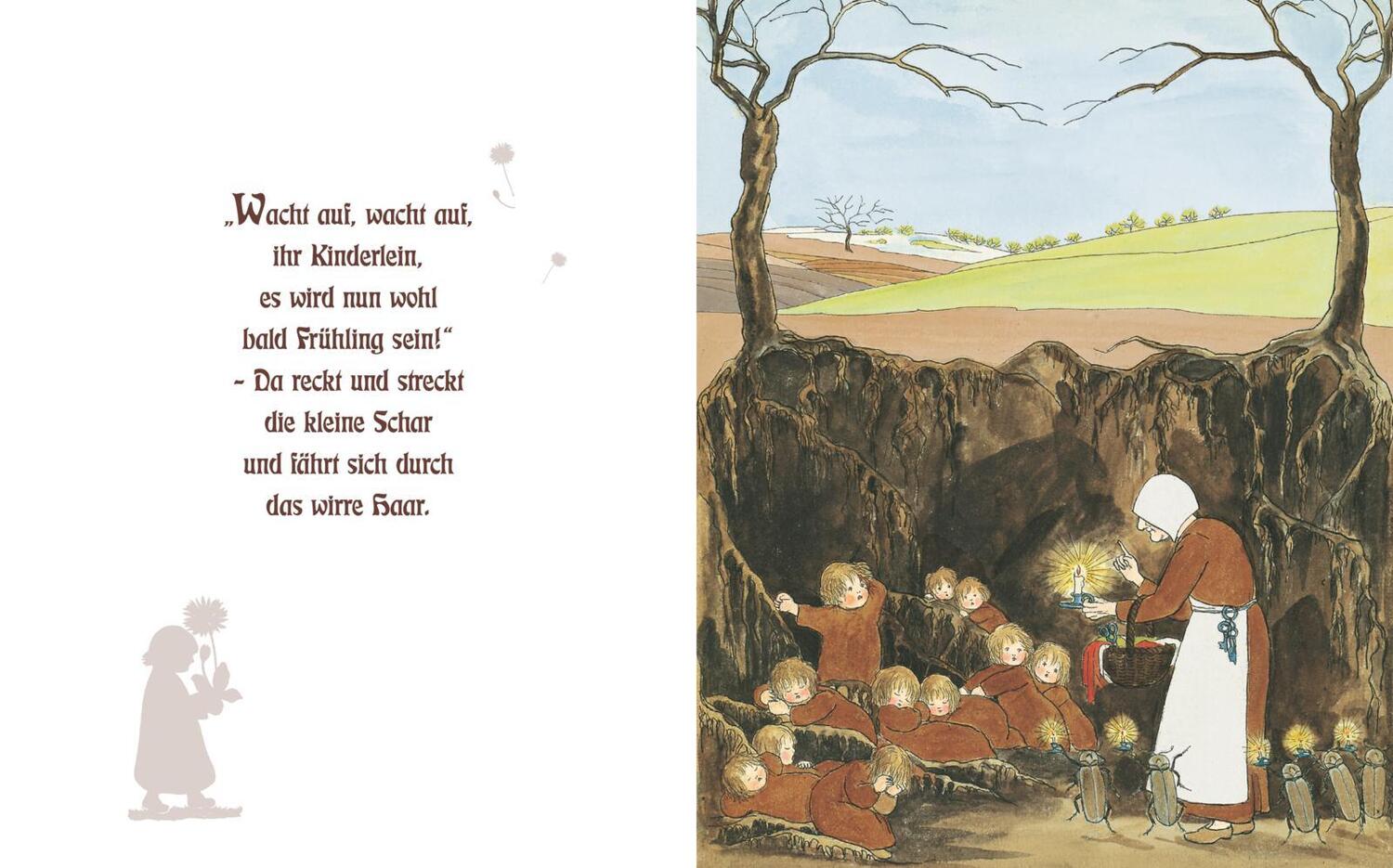 Bild: 9783480236800 | Etwas von den Wurzelkindern: Pappbilderbuch | Sibylle von Olfers