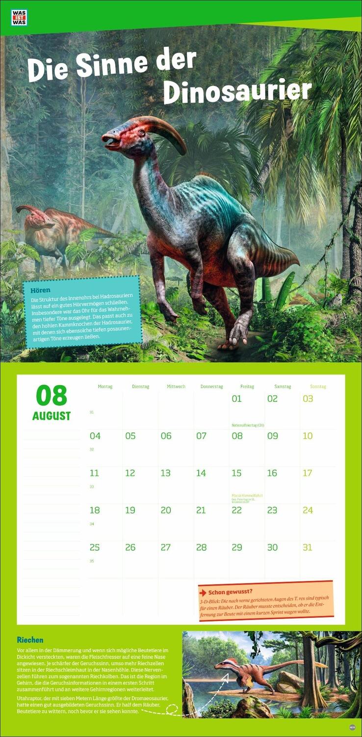 Bild: 9783756408412 | WAS IST WAS Dinosaurier Broschurkalender 2025 | Kalender | 28 S.