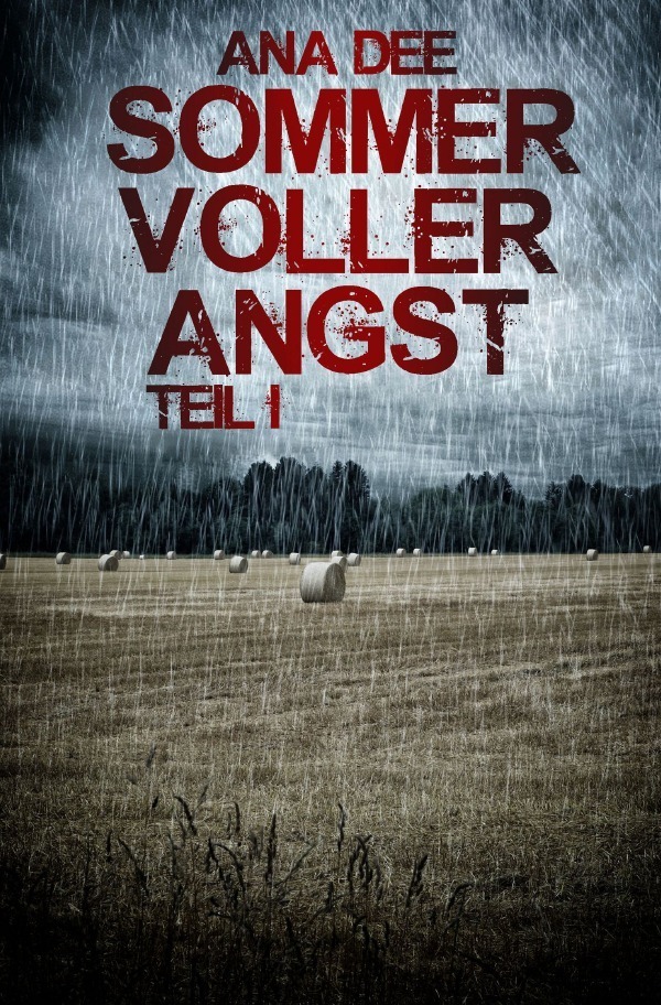 Cover: 9783746772448 | Sommer voller Angst | Erster Teil | Ana Dee | Taschenbuch | 328 S.