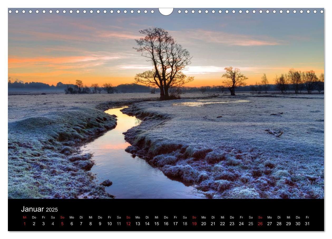 Bild: 9783435475964 | New Forest - England (Wandkalender 2025 DIN A3 quer), CALVENDO...