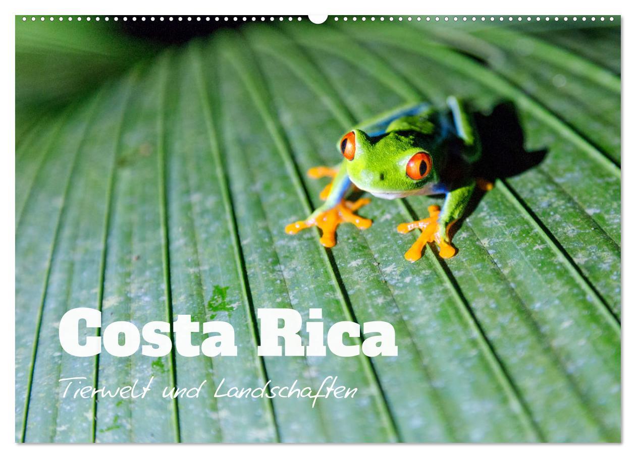 Cover: 9783383948954 | Costa Rica - Tierwelt und Landschaften (Wandkalender 2025 DIN A2...