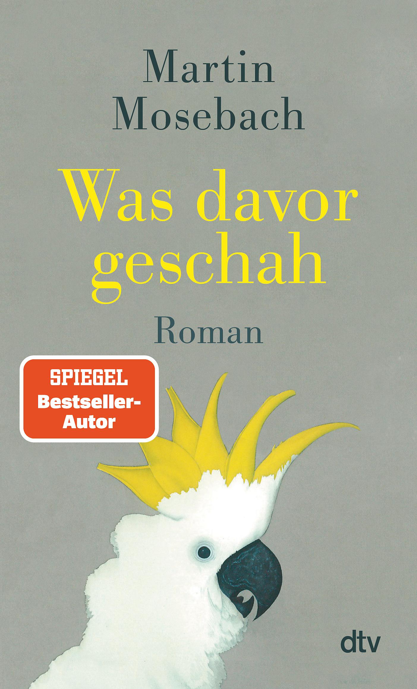 Cover: 9783423149358 | Was davor geschah | Roman | Martin Mosebach | Taschenbuch | 336 S.