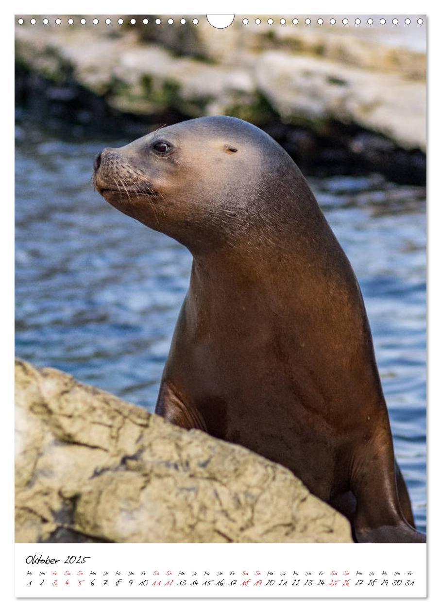 Bild: 9783435968480 | Tierwelten - aus dem ältesten Tiergarten der Welt (Wandkalender...