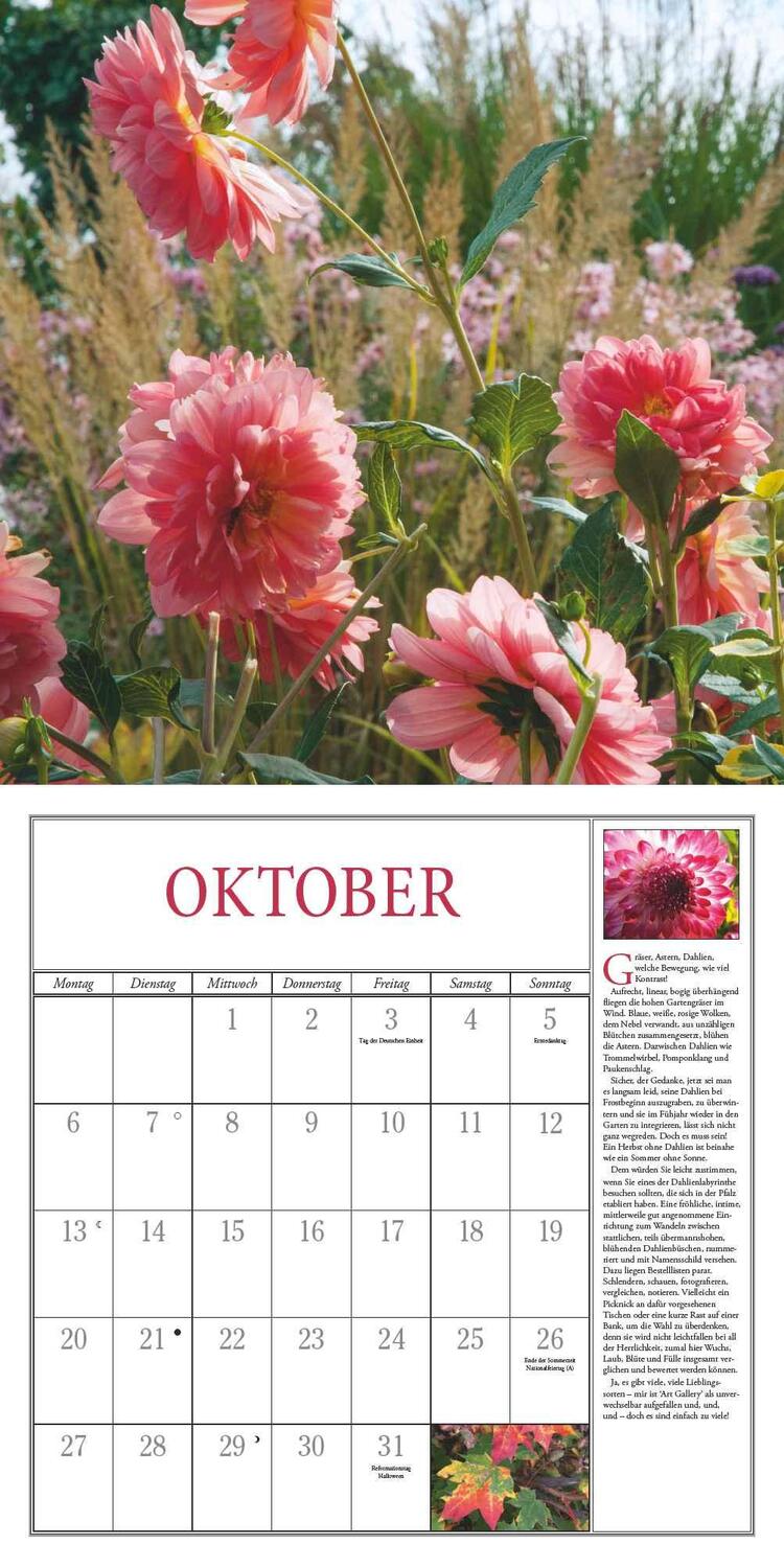 Bild: 4250809652825 | Freude im Garten 2025 ¿ Broschürenkalender ¿ mit informativen und...