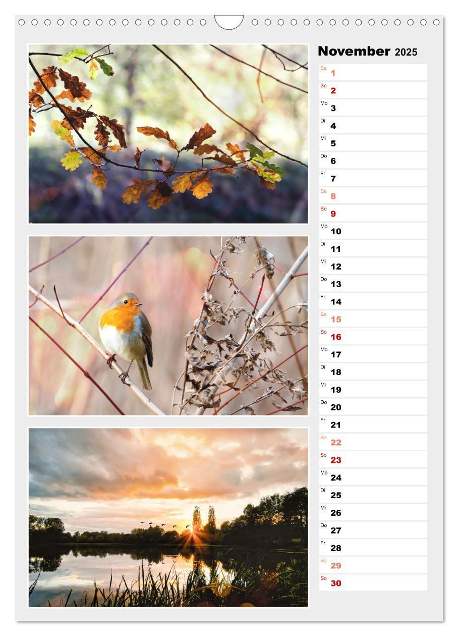 Bild: 9783435889280 | Zauberhafte Farben der Natur (Wandkalender 2025 DIN A3 hoch),...