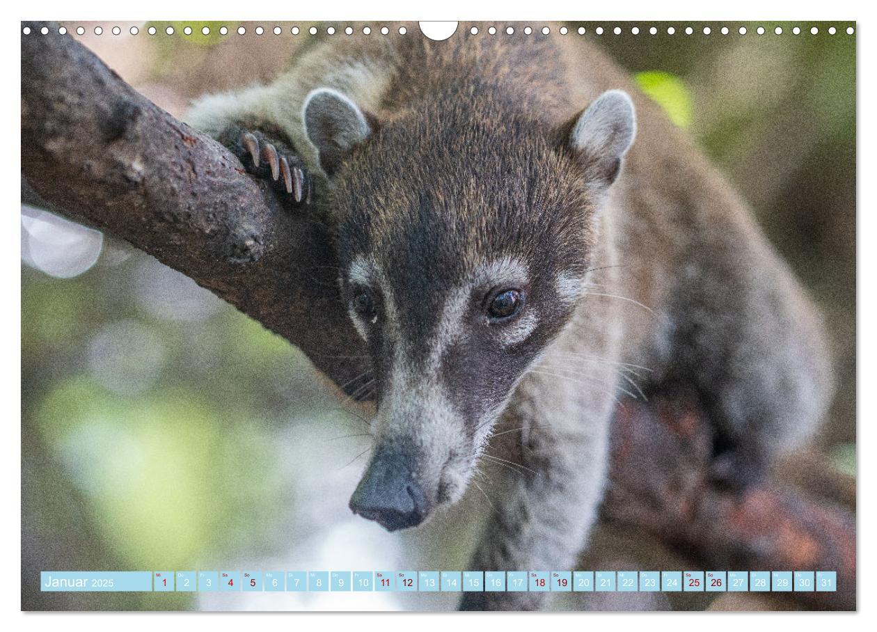 Bild: 9783435000210 | Mexiko - Die wunderschöne Halbinsel Yucatán Fotokalender 2025...