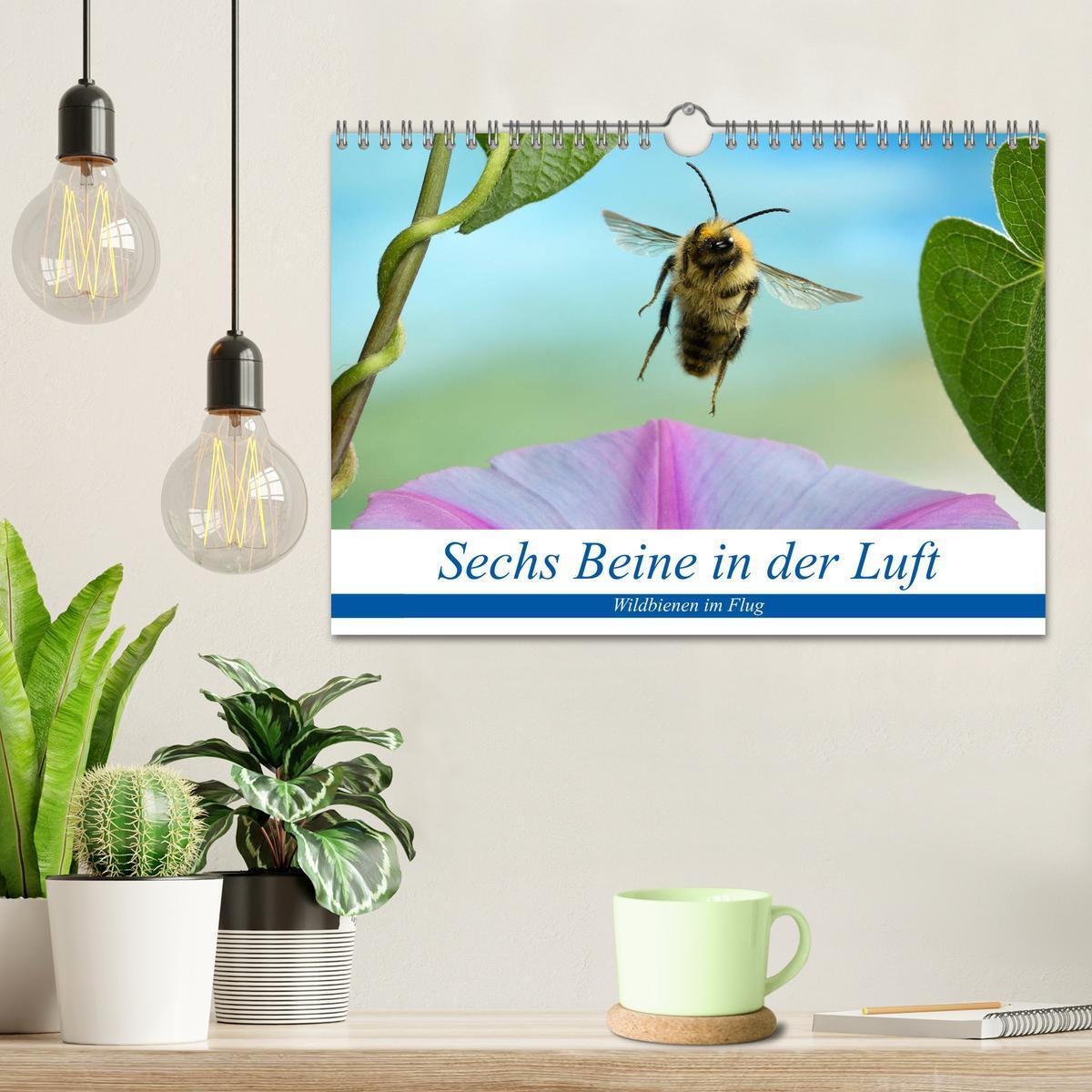 Bild: 9783435220946 | Sechs Beine in der Luft - Wildbienen im Flug (Wandkalender 2025 DIN...