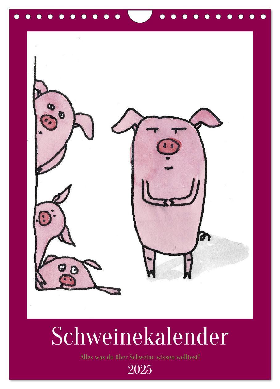 Cover: 9783435872459 | Schweinekalender - Alles was du über Schweine wissen wolltest!...