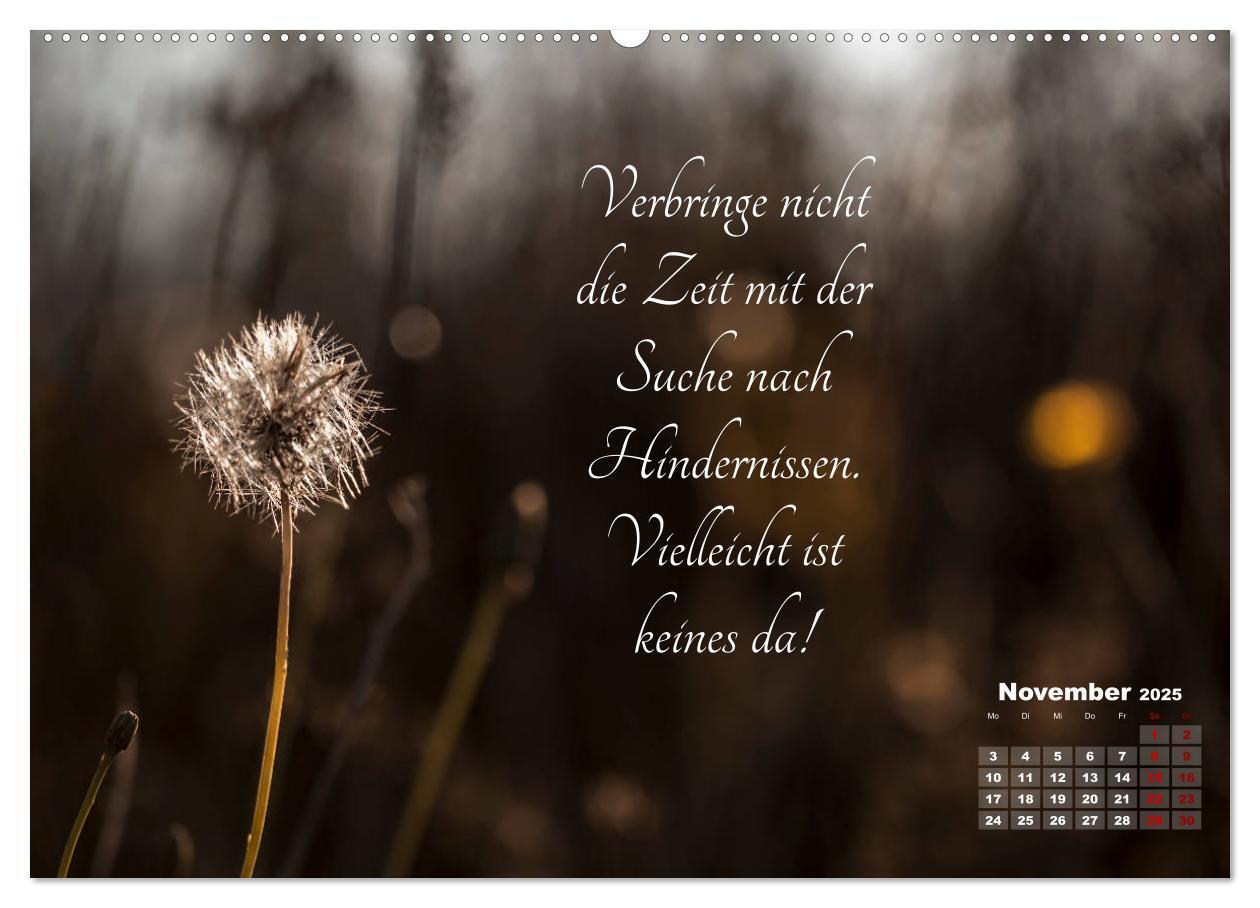 Bild: 9783435244874 | Chinesische Weisheiten (hochwertiger Premium Wandkalender 2025 DIN...