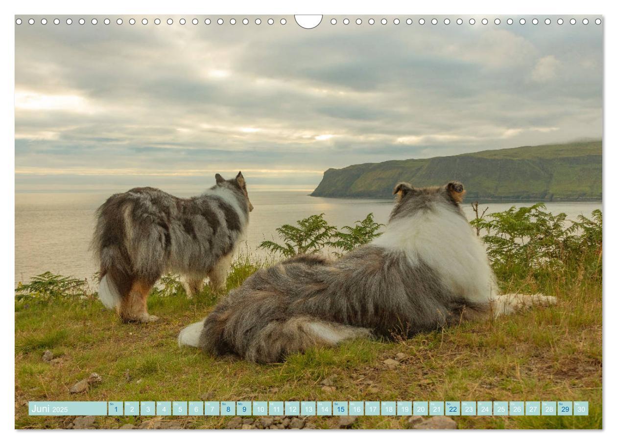 Bild: 9783435175758 | Highland-Collies - Auf vier Pfoten durch Schottland und Irland...