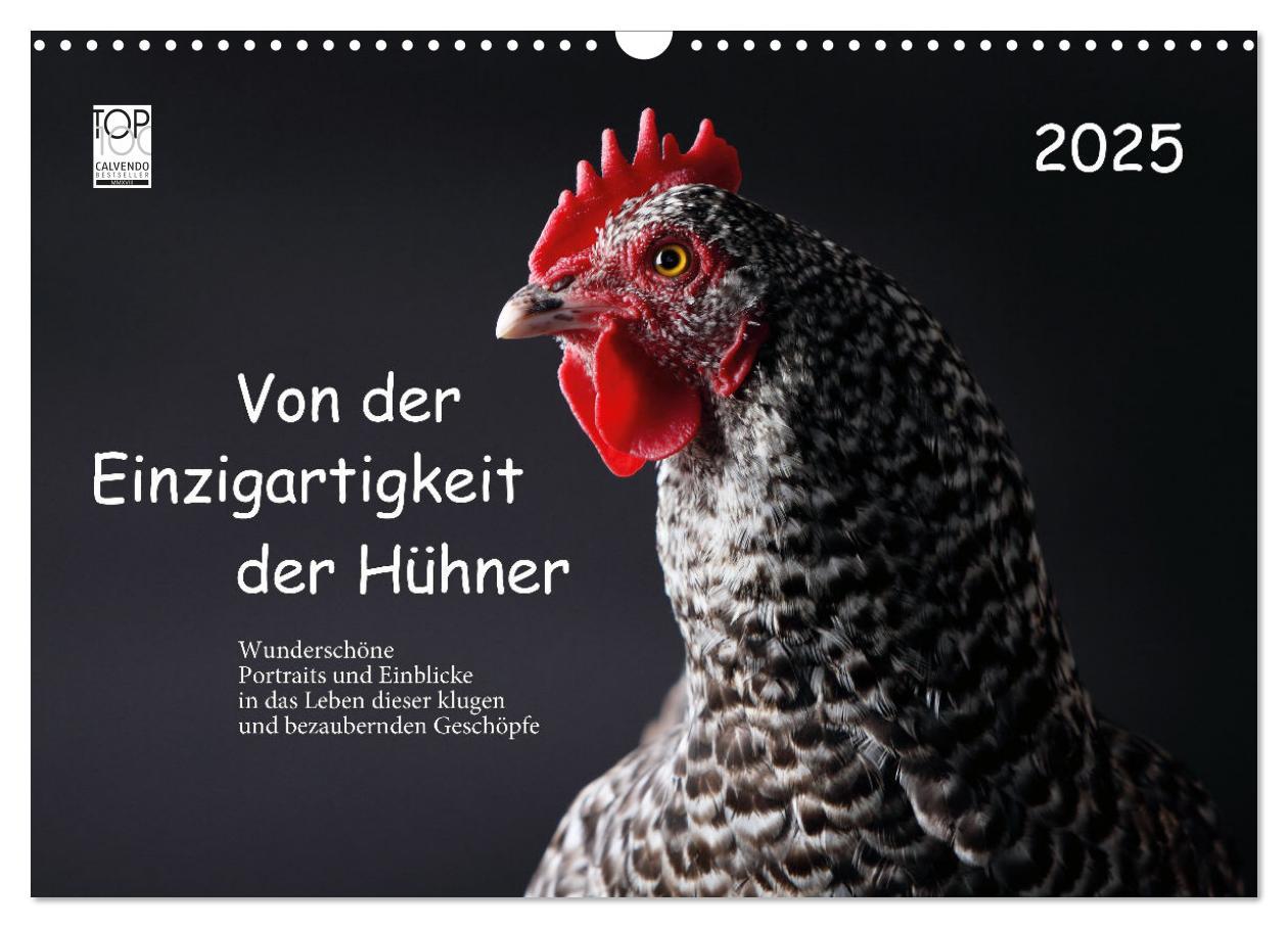 Cover: 9783457144688 | Von der Einzigartigkeit der Hühner 2025 (Wandkalender 2025 DIN A3...