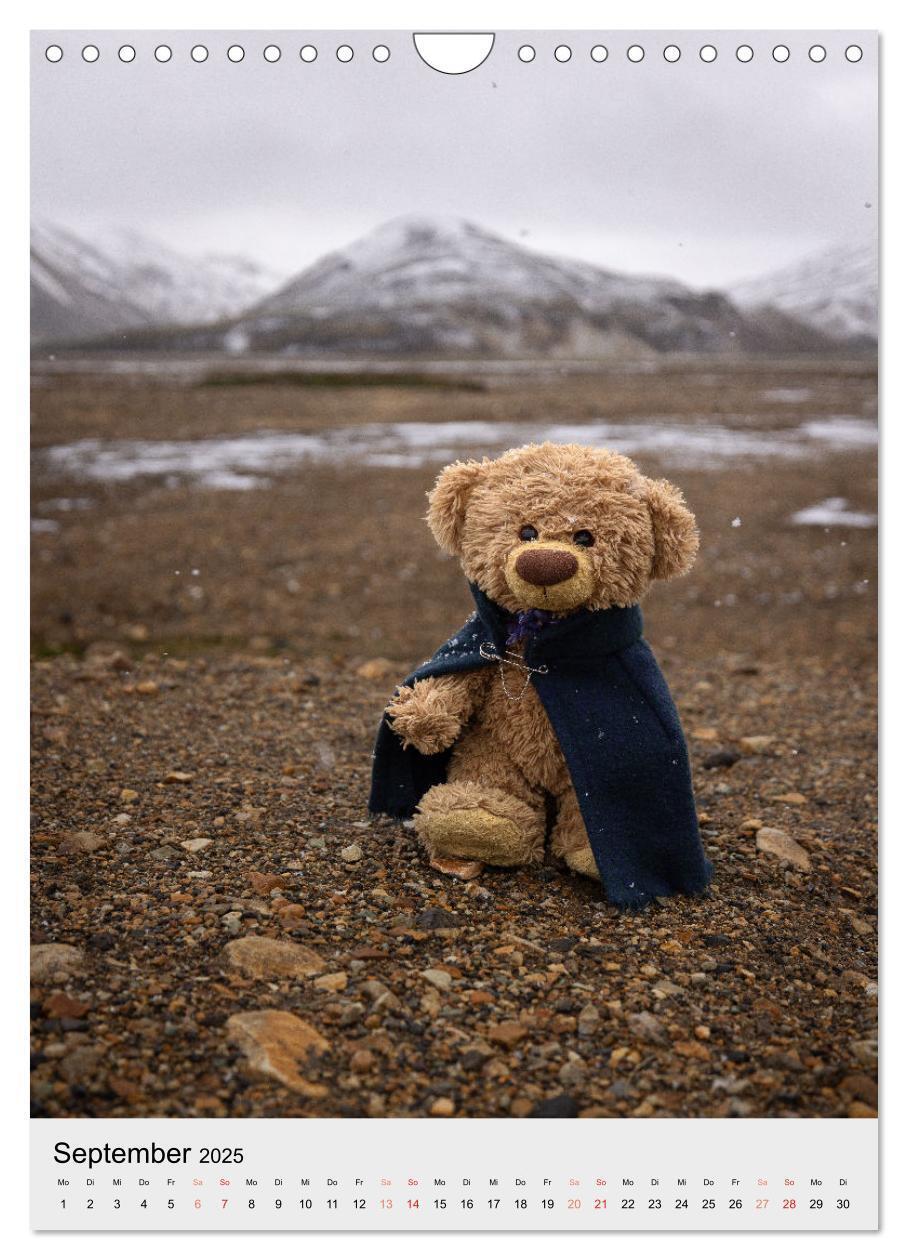 Bild: 9783457136959 | Travelling Teddy in Island (Wandkalender 2025 DIN A4 hoch),...