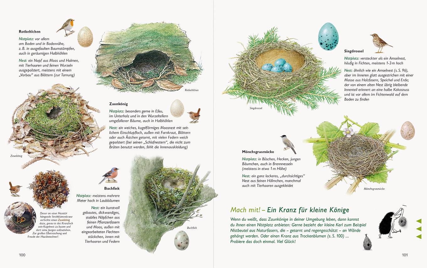 Bild: 9783981548570 | Wawra's Naturbuch, Band 1: Säugetiere, Vögel, Reptilien, Amphibien