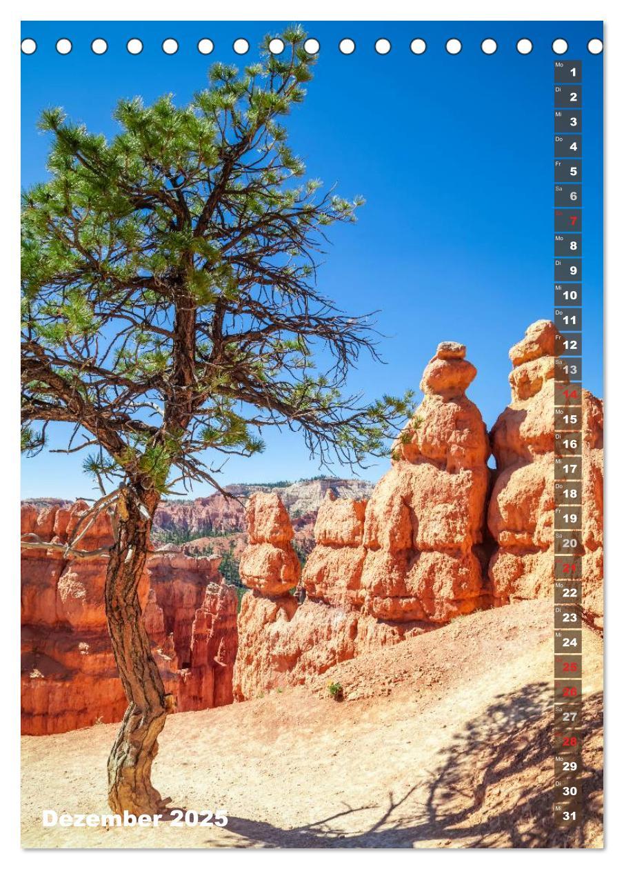 Bild: 9783435972319 | BRYCE CANYON Natur Pur (Tischkalender 2025 DIN A5 hoch), CALVENDO...