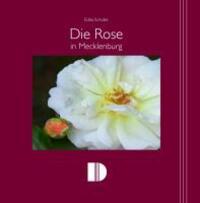 Cover: 9783910150829 | Die Rose in Mecklenburg | Edda Schütte | Buch | 104 S. | Deutsch