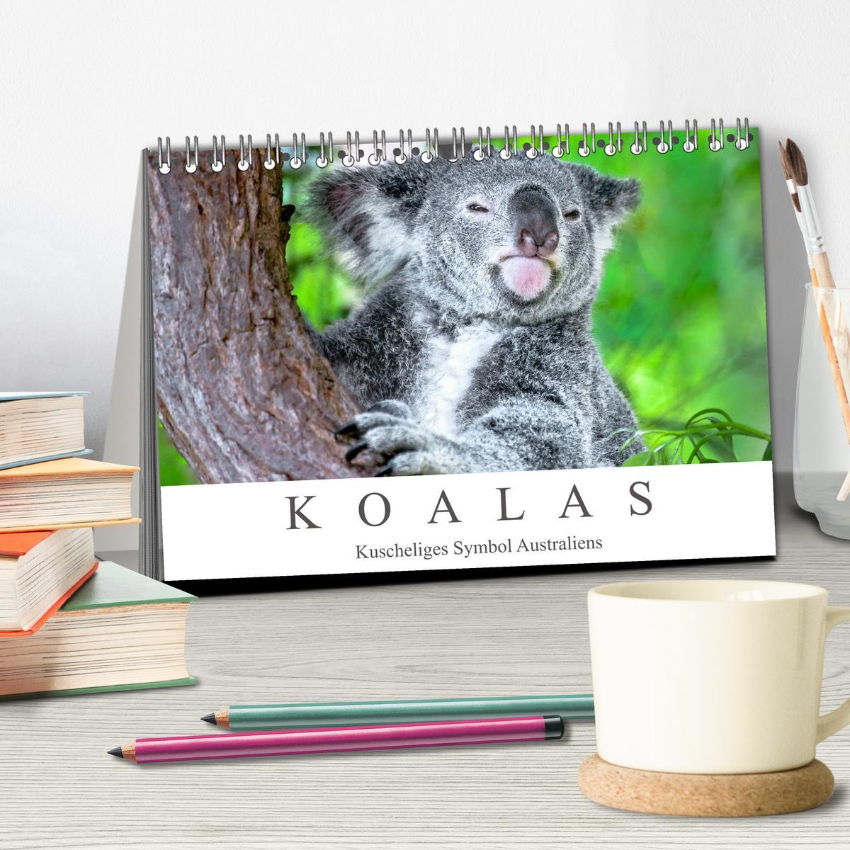 Bild: 9783435159741 | Koalas - Kuscheliges Symbol Australiens (Tischkalender 2025 DIN A5...