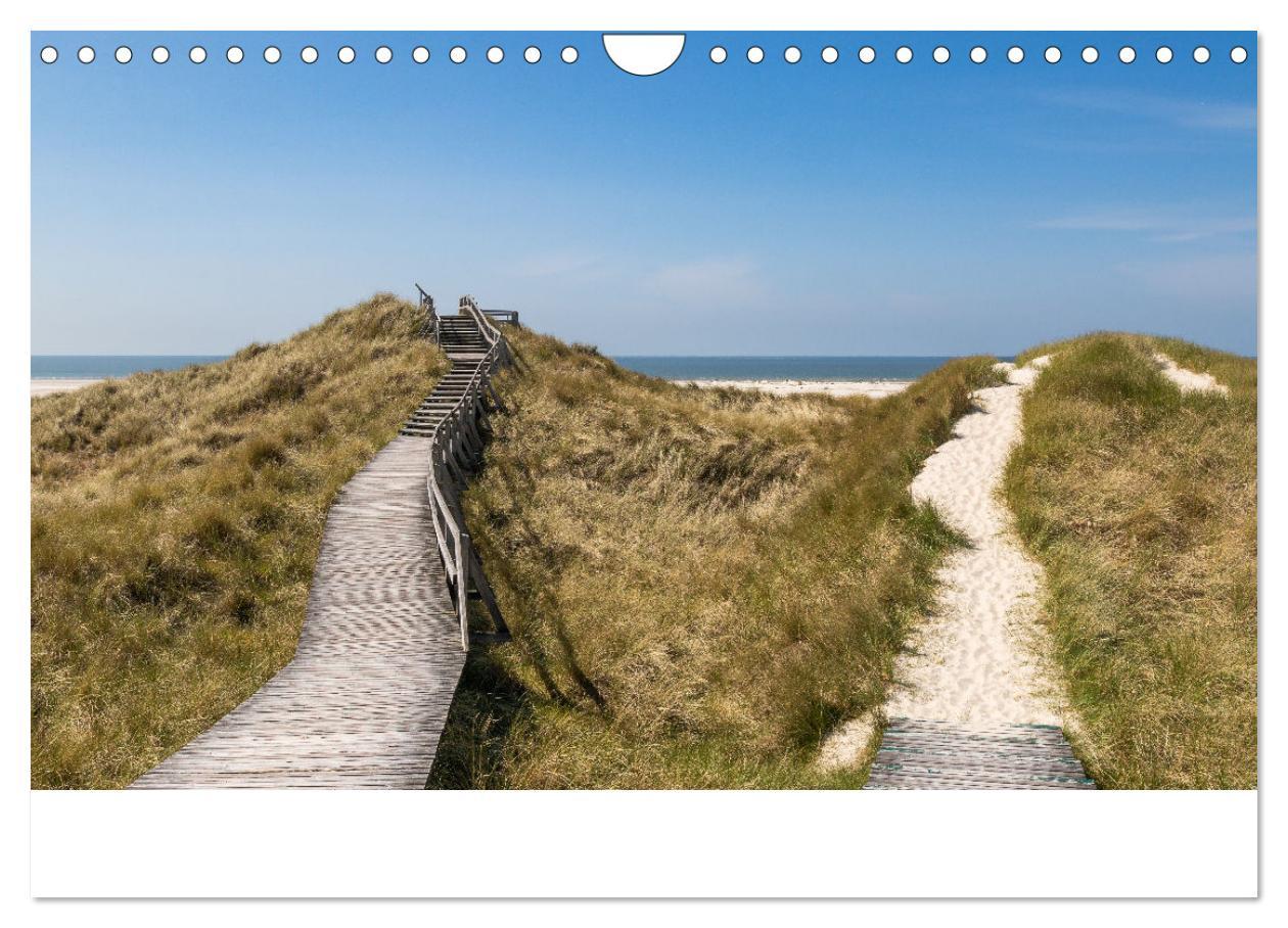 Bild: 9783383861031 | Amrum - Das Paradies in der Nordsee (Wandkalender 2025 DIN A4...