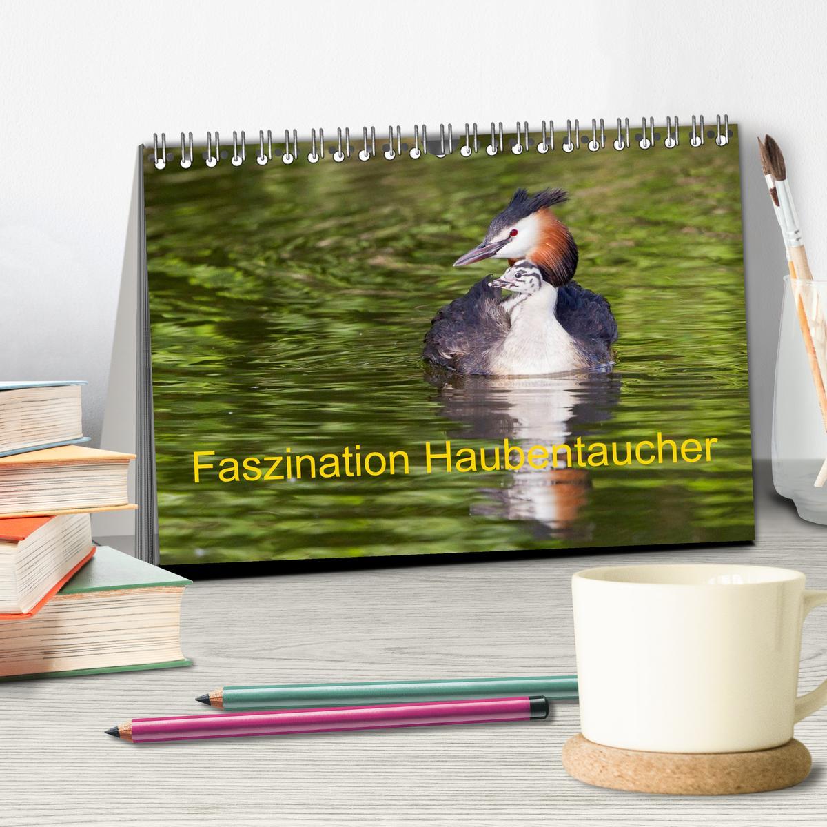 Bild: 9783435464364 | Faszination Haubentaucher (Tischkalender 2025 DIN A5 quer),...