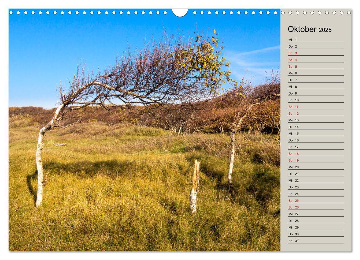 Bild: 9783435343492 | NORDERNEY Geburtstagskalender mit Planerfunktion (Wandkalender 2025...